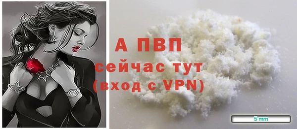 стафф Карпинск