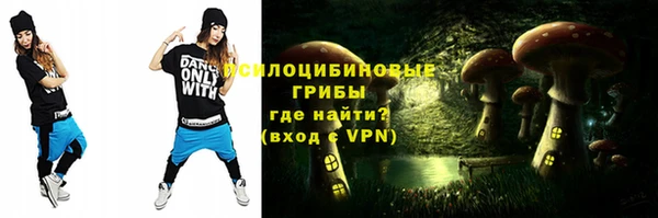 стафф Карпинск