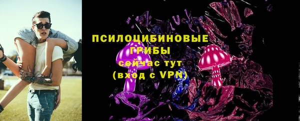 стафф Карпинск